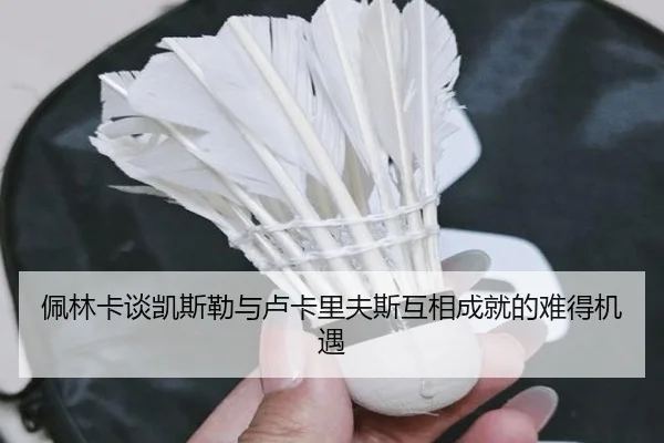 佩林卡谈凯斯勒与卢卡里夫斯互相成就的难得机遇